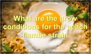 What are the grow conditions for the peach flambe strain