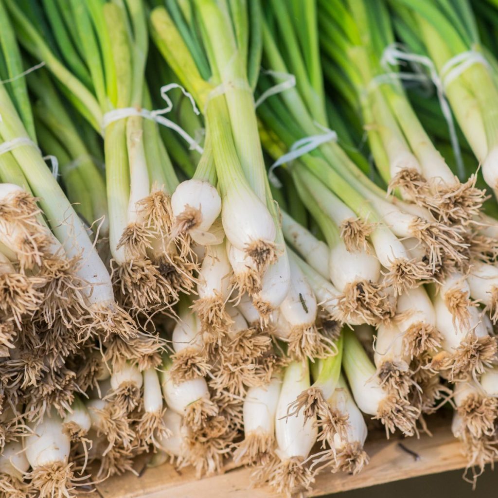 Discover the Perfect Substitute for Scallions: Top Picks! | Food Readme