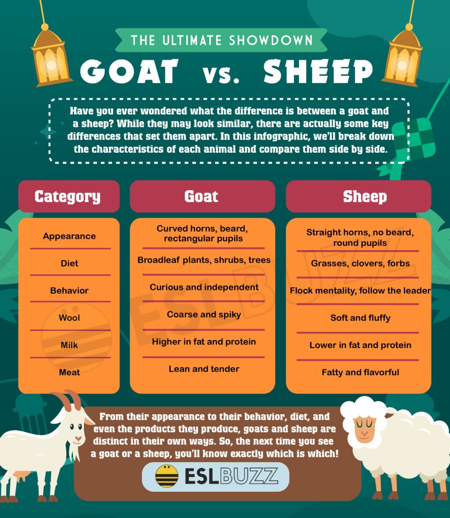 Lamb vs Sheep vs Goat: Understanding Their Unique Characteristics ...