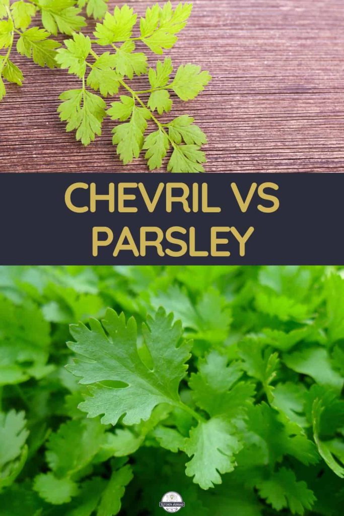 Parsley Substitute Exploring Flavorful Alternatives for Culinary